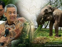 Kabar Baik untuk Lampung, Menkeu Suahasil Siapkan Anggaran Khusus Pengembangan Way Kambas