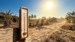 Suhu Lampung Tembus 38,2 Derajat, BMKG Prediksi Kemarau Bertahan hingga Desember