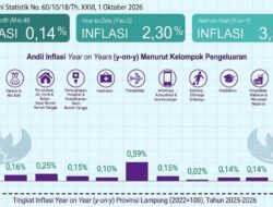 Inflasi Lampung Melandai ke 3,51 Persen, Namun Harga Beras Tetap Jadi Hantu Pengeluaran Warga
