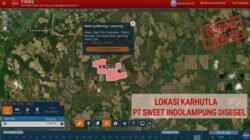 Lahan Terbakar Dekat Lintas Timur, DLH Lampung Segel Paksa Kebun PT Sweet Indolampung