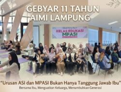 Pesan 11 Tahun AIMI Lampung, Urusan ASI dan MPASI Bukan Hanya Tanggung Jawab Ibu