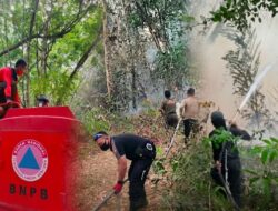 Karhutla Tulang Bawang dan Lamteng Terkendali, Sinergi Cepat Selamatkan Warga