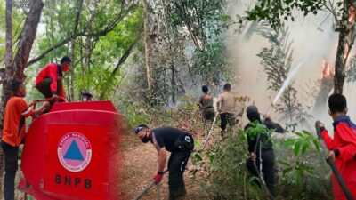 Karhutla Tulang Bawang dan Lamteng Terkendali, Sinergi Cepat Selamatkan Warga
