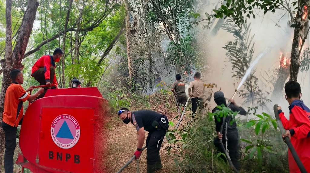 Karhutla Tulang Bawang dan Lamteng Terkendali, Sinergi Cepat Selamatkan Warga